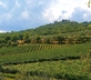 Locanda Casanuova - gallery - picture 