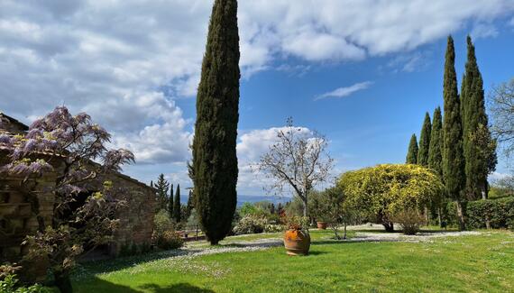 Sovigliano - Gallery