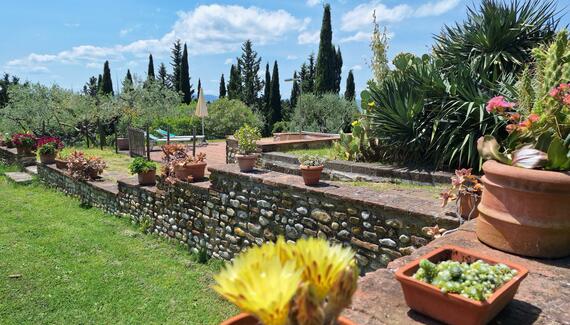 Sovigliano - Gallery