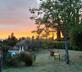 Sovigliano - Gallery - picture 