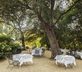 Torre a Cona - Gallery - picture 
