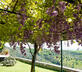 Il Frantoio - Gallery - picture 