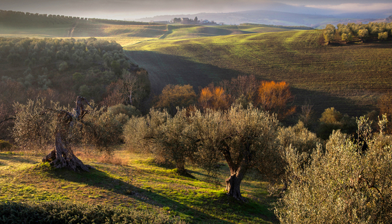 Pian del Colombaio - Gallery