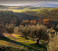 Pian del Colombaio - Gallery - picture 