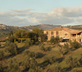 Pian del Colombaio - Gallery - picture 