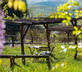 Rifugio Seremus - Gallery - picture 