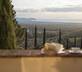 Poggio ai Santi - Gallery - picture 