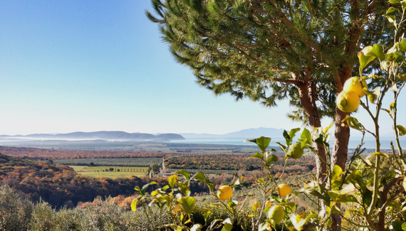 Poggio ai Santi - Gallery