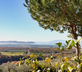 Poggio ai Santi - Gallery - picture 