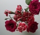 A Palazzo Busdraghi - Residenza D’Epoca - Gallery - picture 