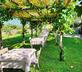 Badia Giulia - Gallery - picture 