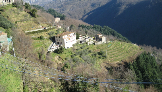La Fagiana - Gallery