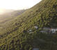 La Lucertola - Gallery - picture 