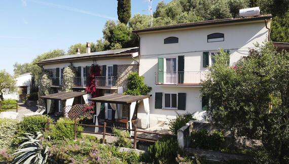 La Lucertola - Gallery