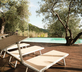 La Lucertola - Gallery - picture 