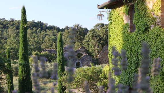 Abbadia Wine Relais - Gallery