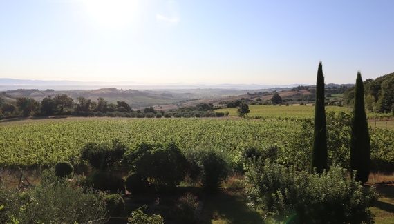 Abbadia Wine Relais - Gallery