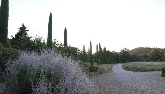 Abbadia Wine Relais - Gallery