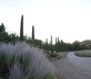 Abbadia Wine Relais - Gallery - picture 