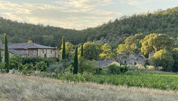 Abbadia Wine Relais - Gallery