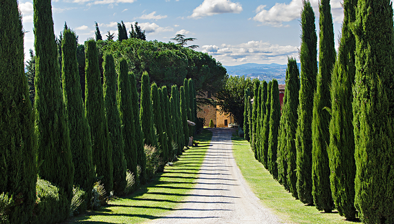 Al Gelso Bianco - Gallery