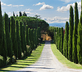 Al Gelso Bianco - Gallery - picture 