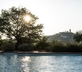 Biotique Agrivilla i Pini - Gallery - picture 