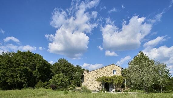 Casale di Cellole - Gallery