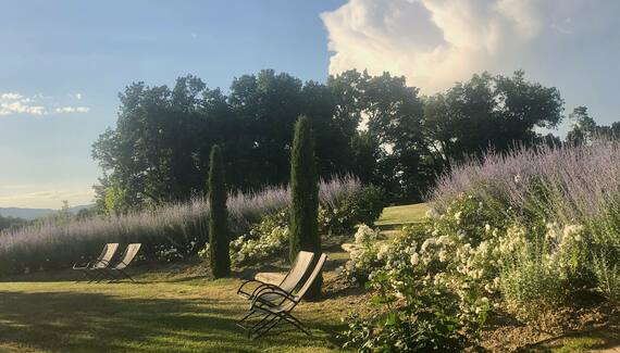 Il Focolare - Gallery