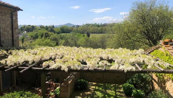 Il Focolare - Gallery