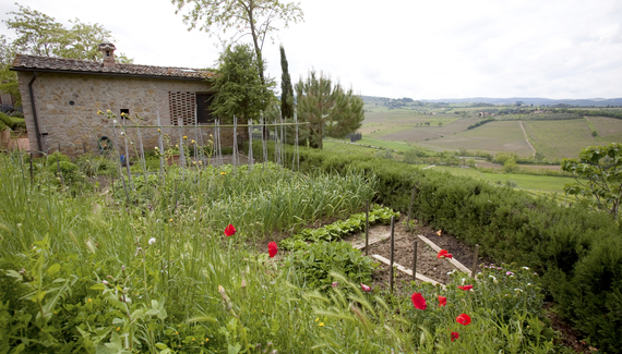 Il Rosolaccio - Gallery