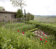 Il Rosolaccio - Gallery - picture 