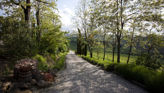 Il Rosolaccio - Gallery