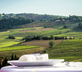 Il Rosolaccio - Gallery - picture 