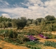 Mastrojanni Wine Relais - Gallery - picture 