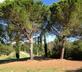 Metranino - Gallery - picture 