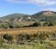 Metranino - Gallery - picture 