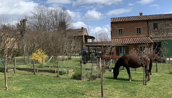 Montefreddo B&B - Gallery