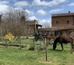 Montefreddo B&B - Gallery - picture 