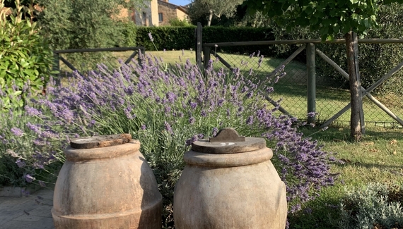 Montefreddo B&B - Gallery