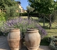 Montefreddo B&B - Gallery - picture 