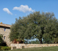 Villa Podernovo - Gallery - picture 