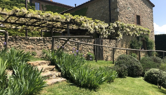 Villa Podernovo - Gallery