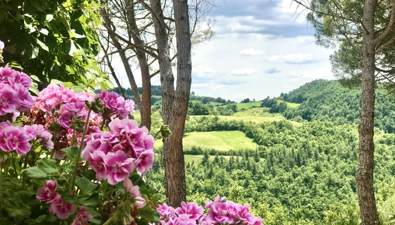 Agriturismo La Panoramica Gubbio - Gallery