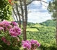 Agriturismo La Panoramica Gubbio - Gallery - picture 