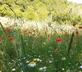 Agriturismo Marcofrate - Gallery - picture 