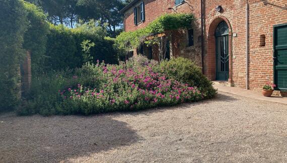 Casa Cantagallina - Gallery