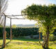 Casa delle Grazie - gallery - picture 
