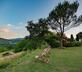 Casa Rosa - Gallery - picture 