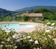 Casa Rosa - Gallery - picture 